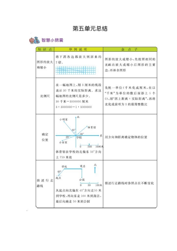 西师版六年级上册数学知识重点汇总 共7页